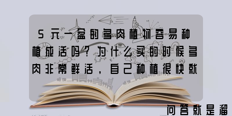 5元一盆的多肉植物容易种植成活吗？为什么买的时候多肉非常鲜活，自己种植很快就蔫？