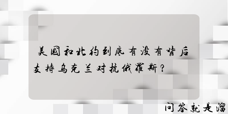 美国和北约到底有没有背后支持乌克兰对抗俄罗斯？