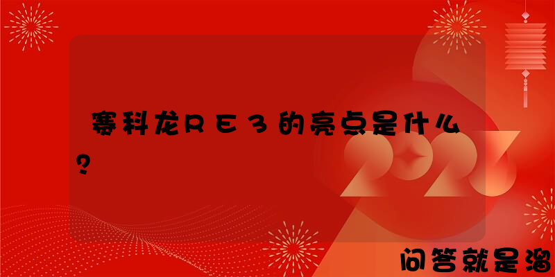 赛科龙RE3的亮点是什么？